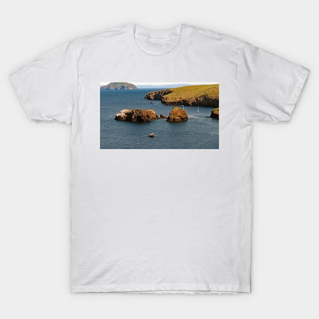 Channel Islands National Park Santa Cruz Island T-Shirt by supernova23